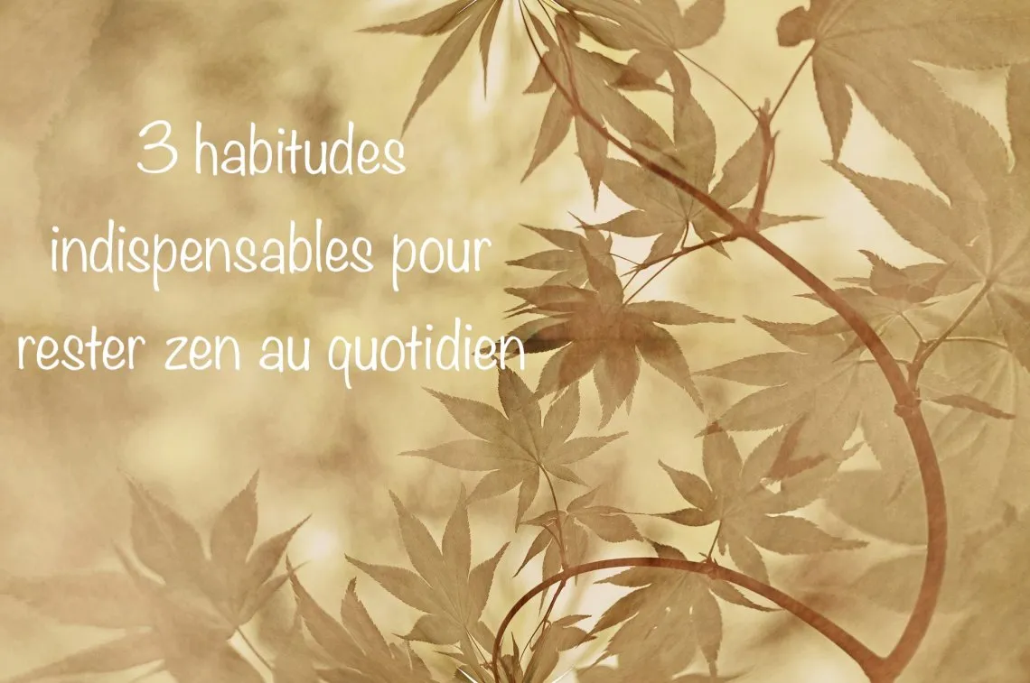 3 habitudes militaires pour rester zen et piloter vos finances au quotidien